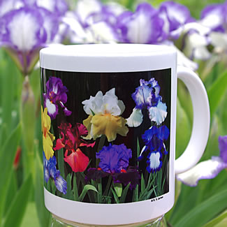 mug DS-156 6996.jpg